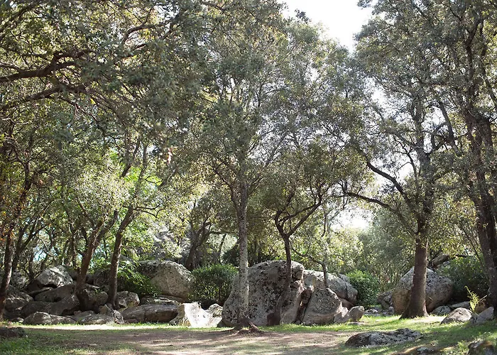 La Vetta Village Porto-Vecchio (Corsica)